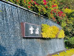 -云溪植物园