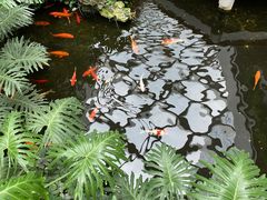 -白天鹅宾馆·流浮阁咖啡厅