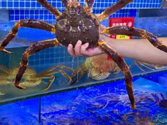 -驻海渔市(置信店)