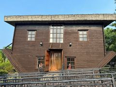 -金山农民画村-枫泾波兰倒置屋