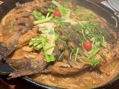 -老板恋上鱼(高新万达店)