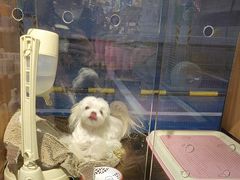 -FAELING PETS美天灵宠物(富力广场店)