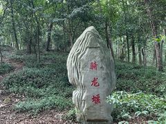 -上海佘山国家森林公园天马山园