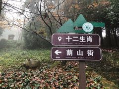 -莫干山风景区