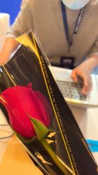 -北京四季酒店·宴会厅