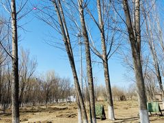 -亲兄弟真人CS团建拓展基地