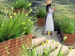 -龙湖重庆时代天街