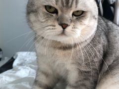 -清沐SPA生活馆(观前街店)