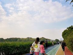 -贡湖湾湿地公园