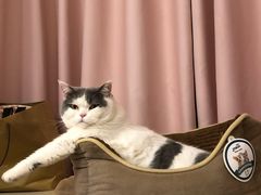 -佳雯宠物医院·皮肤科·内外科(春晓路分院)