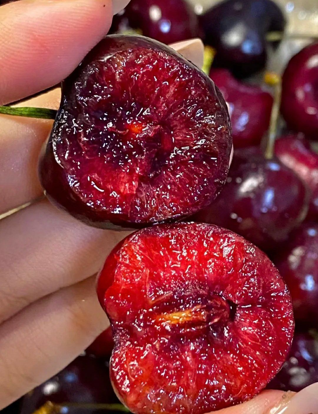 车厘子,蔷薇科樱属植物,是一种常见的水果