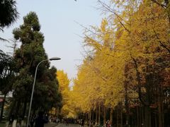 -四川大学(望江校区)