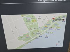-贡湖湾湿地公园