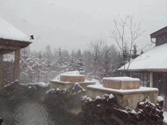 -汉拿山温泉度假酒店