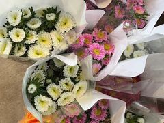 -南汇花鸟市场(上海浦东新花卉店)
