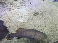 -鸿通城购物中心