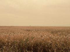 -野鸭湖国家湿地公园