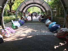 -人民公园-相亲角