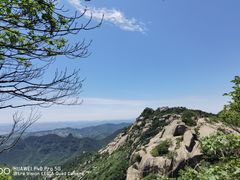 -鲁山国家森林公园