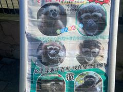 -保定市动物园