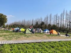 -前小桔亲子创意农场·草莓采摘·露营烧烤