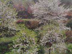 -四明山国家森林公园