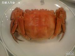 大闸蟹-苏浙汇(朝外店)