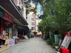 -长寿村