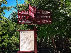 -北京西山国家森林公园