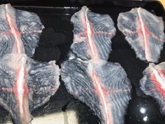 -京门活鱼馆·鱼火锅(百子湾（原红庙）店)
