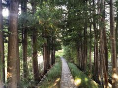 -三塔倒影公园