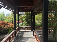 -南湖国家城市湿地公园