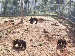 -安徽大青山野生动物世界