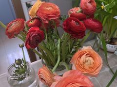 -双季花艺园艺市场(浦东店)