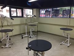 -奈斯宠物医院·核磁CT·异宠专科·内镜(中南店)