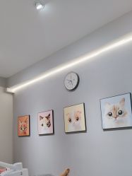 -洗脸猫·洗脸吧