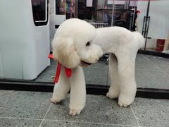 -宠物家(大兴旧宫店)