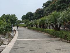 -深圳湾公园(南山区)