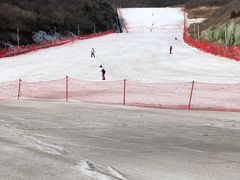 -静之湖湖畔餐厅