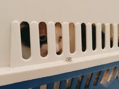 -北京恒爱动物医院(清景园分院)