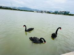 -琅岐红光湖公园