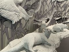 -中国湿地博物馆