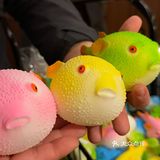 大爱河豚鱼
