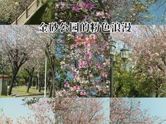 -金砂公园