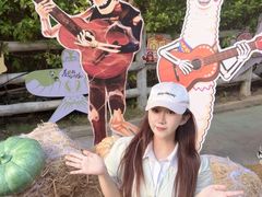 -灵玲国际马戏城