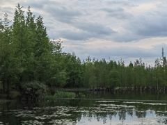 -白鹭湾湿地公园