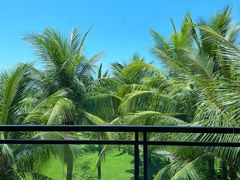 -海南清水湾莱佛士酒店