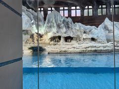 -帝企鹅自助餐厅•儿童岛•真企鹅(长隆企鹅酒店)