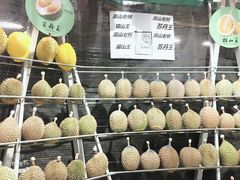 -都念榴莲·城市榴莲