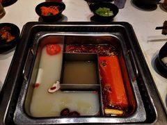 -鼎膳常火锅(华阳店)